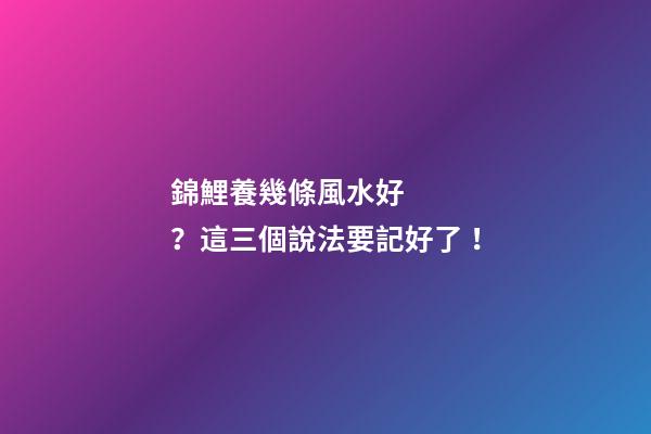 錦鯉養幾條風水好？這三個說法要記好了！